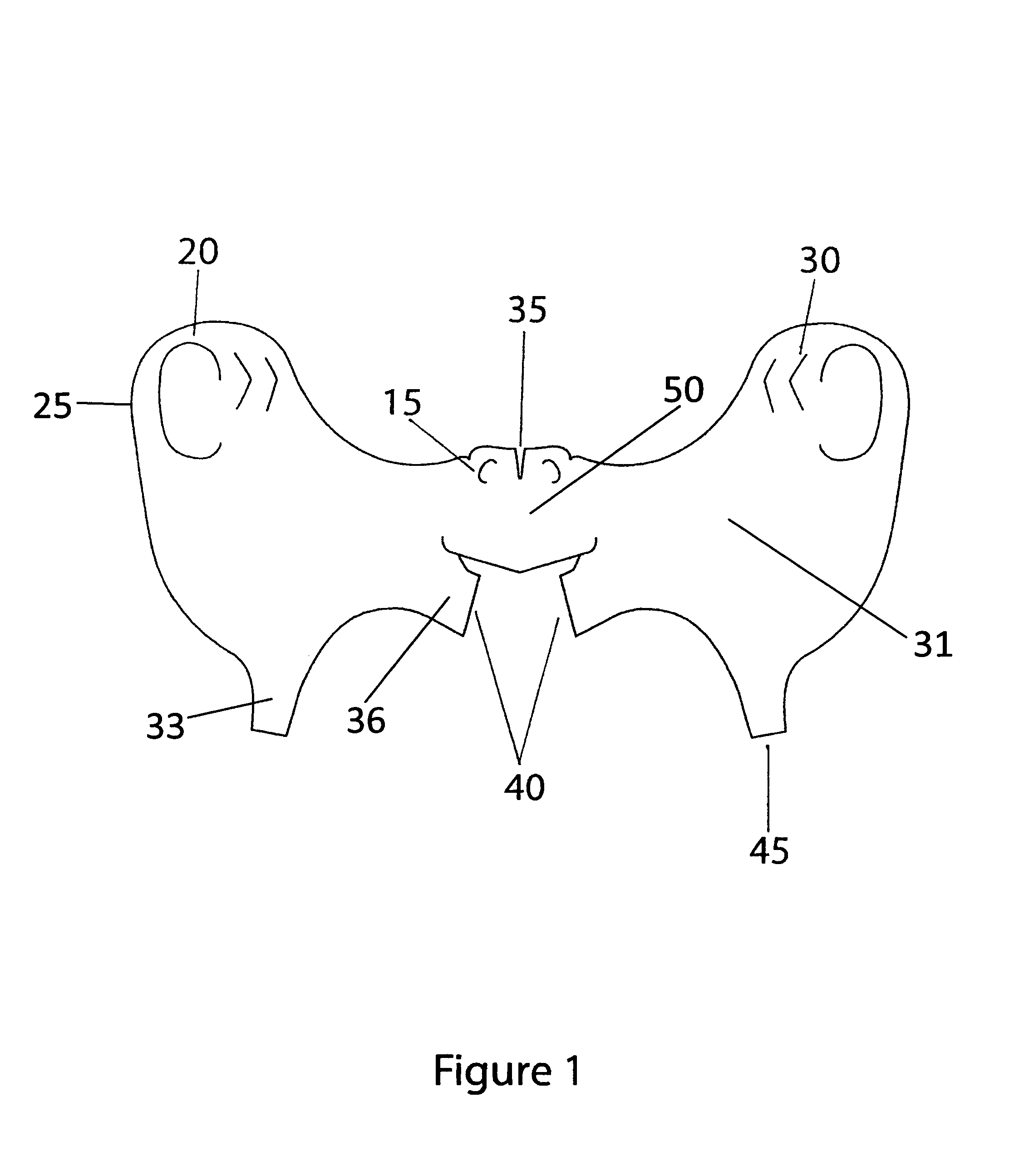 Flexible face mask apparatus