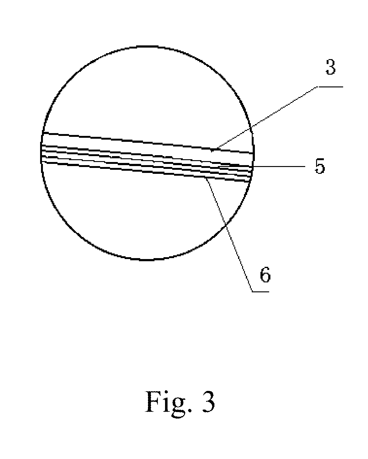 Collection apparatus for storing prolate photos