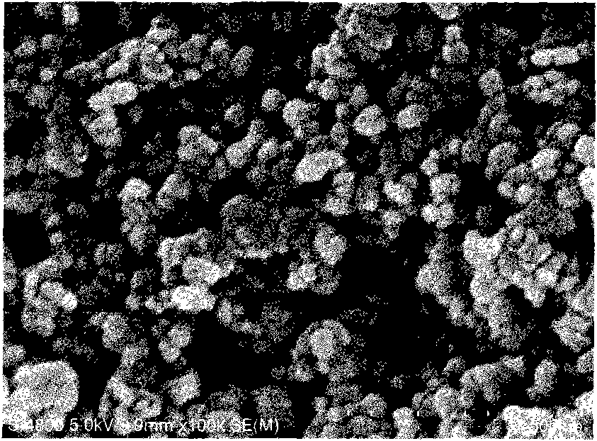 Method for preparing superfine zinc tungstate antibacterial agent by ultrasonic molten salt method