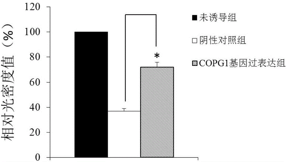 Alzheimer disease diagnosis and treatment marker and application thereof