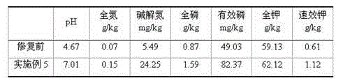 Soil restoration agent with heavy metal pollution treatment function and fertilizing function and preparation process of soil restoration agent