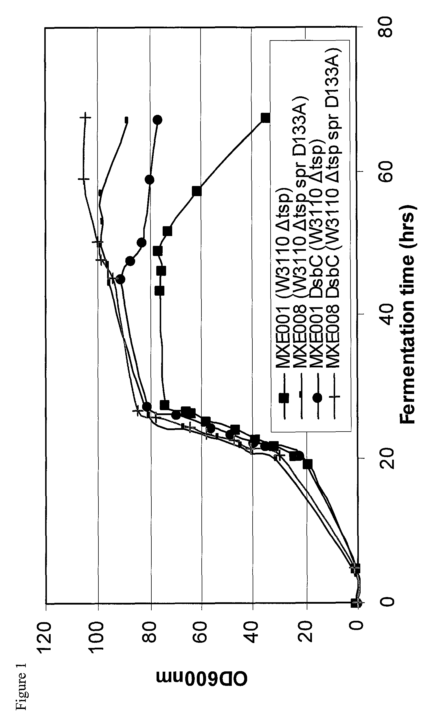 Bacterial host strain expressing recombinant DsbC and having reduced Tsp activity