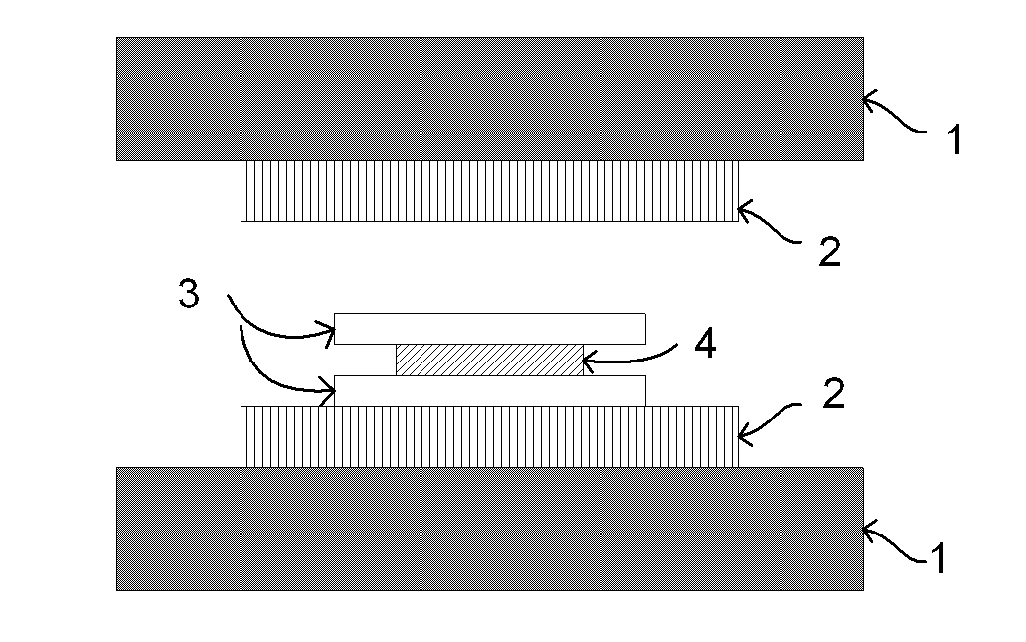 Solar cell module