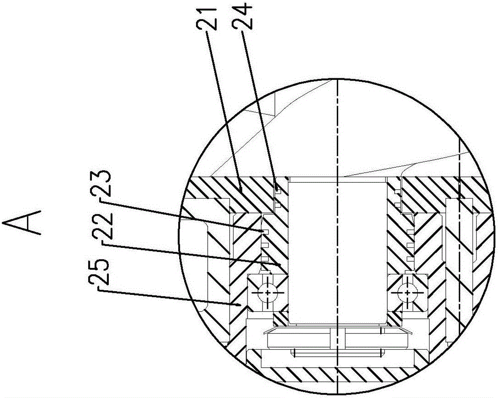 Screw vacuum pump with piston ring sealing and mechanical sealing structures