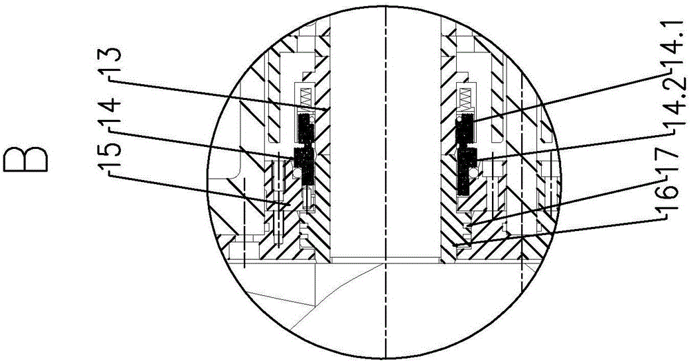 Screw vacuum pump with piston ring sealing and mechanical sealing structures