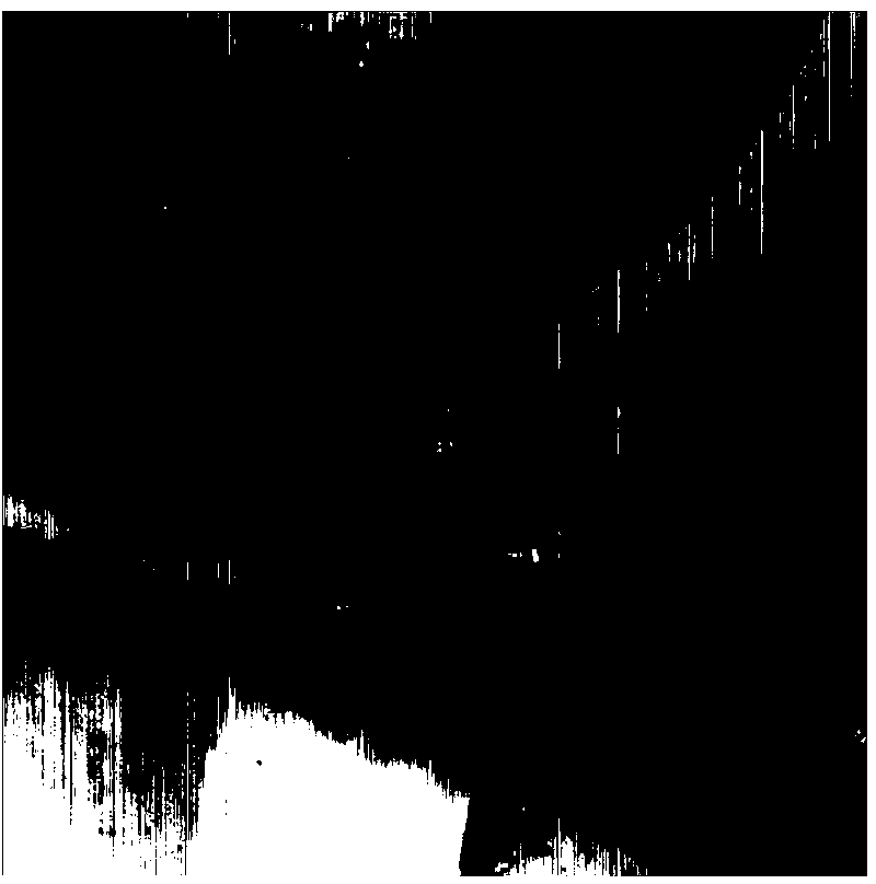 Optical image denoising method based on serial connection of curvelet transform and wavelet transform