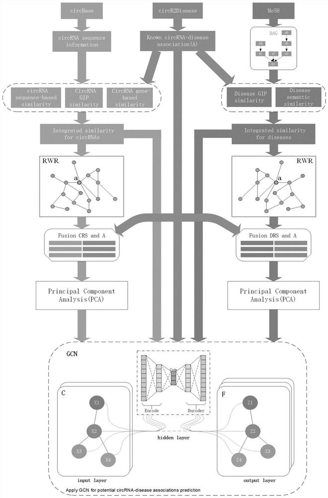 Efficient prediction method for association relationship between circRNA and disease