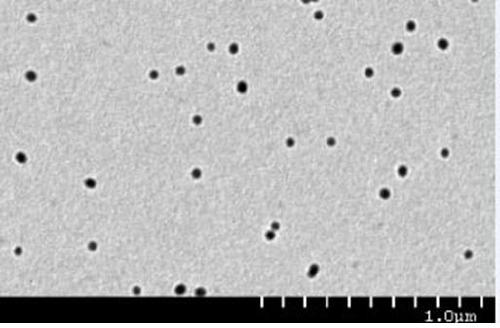 Fasciola hepatic fasciola hypothetical protein gene and colloidal gold immunochromatography test paper