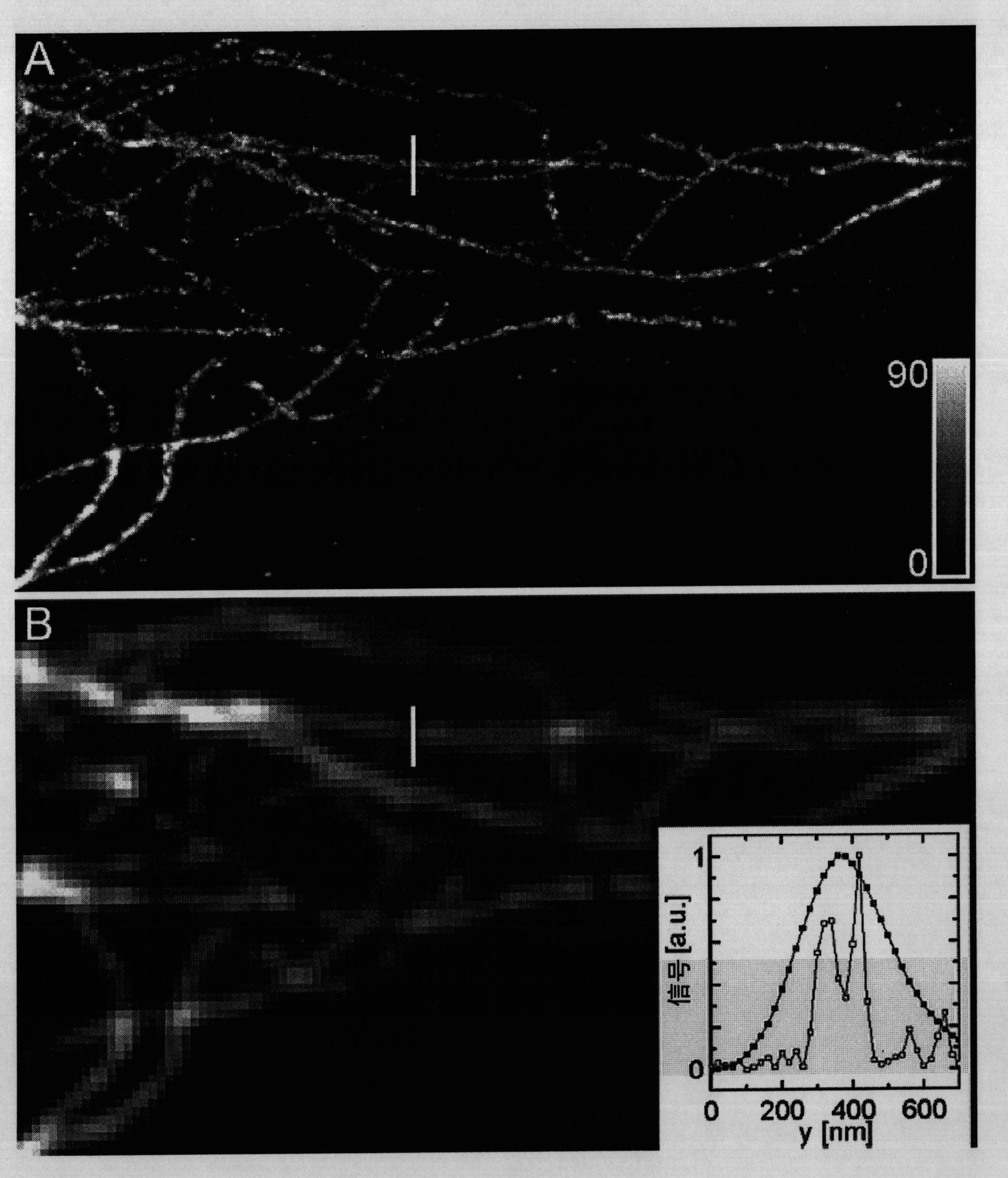 High spatial resolution imaging of a structure of interest in a specimen