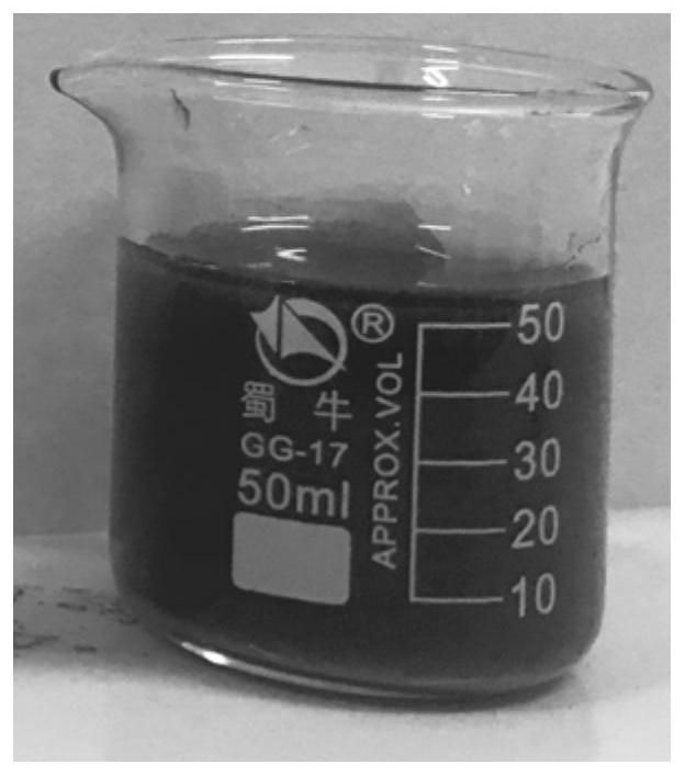 A tio for photocatalytic degradation of rhodamine b  <sub>2</sub> Photocatalyst and preparation method thereof