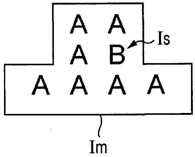 Multi-viewpoint image recording medium and authenticity judgment method