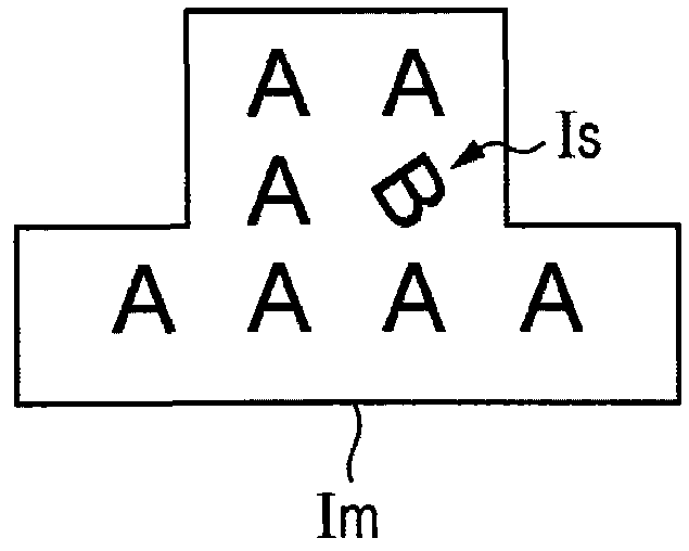 Multi-viewpoint image recording medium and authenticity judgment method