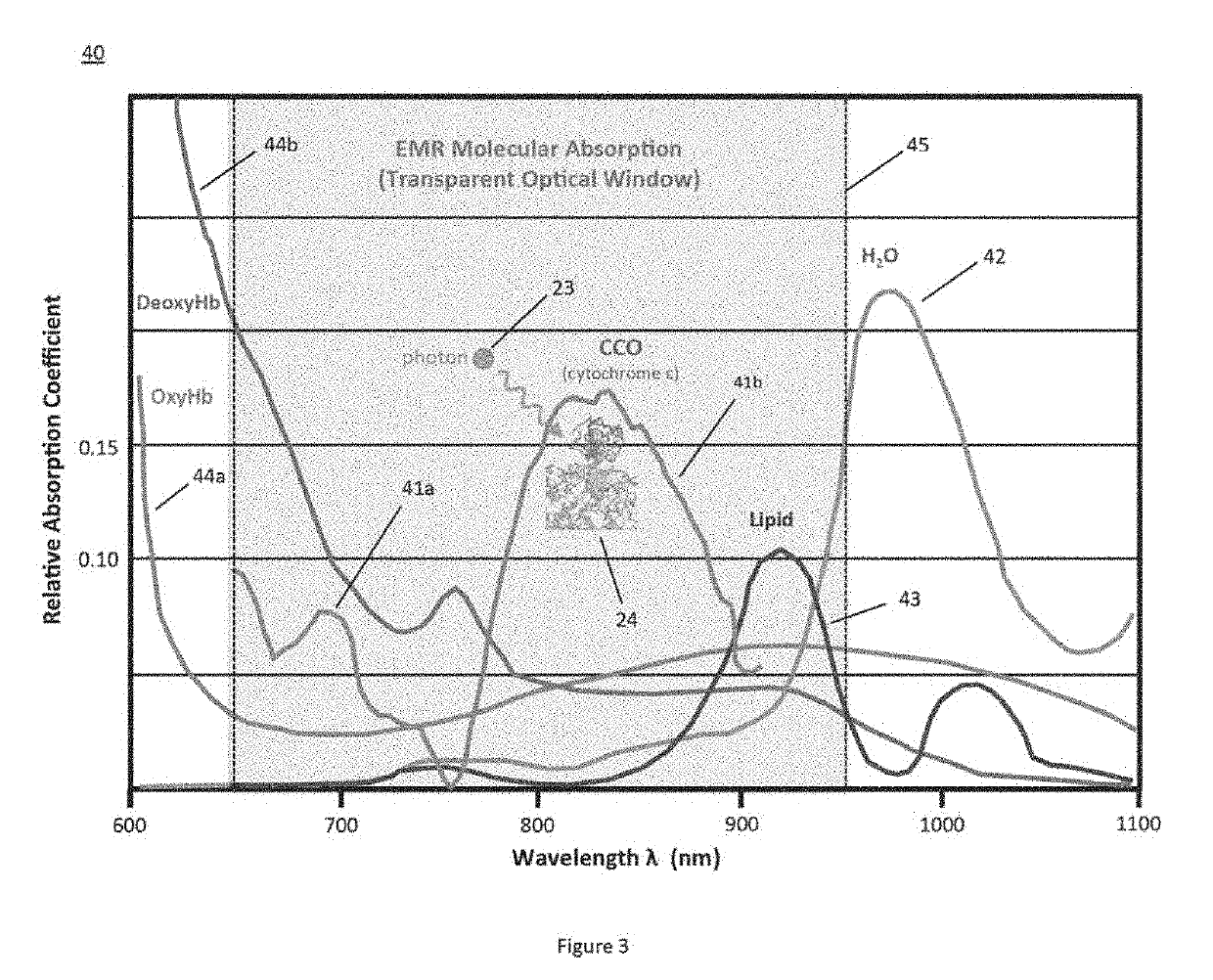 Distributed Photobiomodulation Therapy System And Method