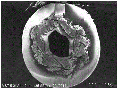 A kind of braided tube homogenous reinforced polyvinylidene fluoride hollow fiber membrane and preparation method thereof