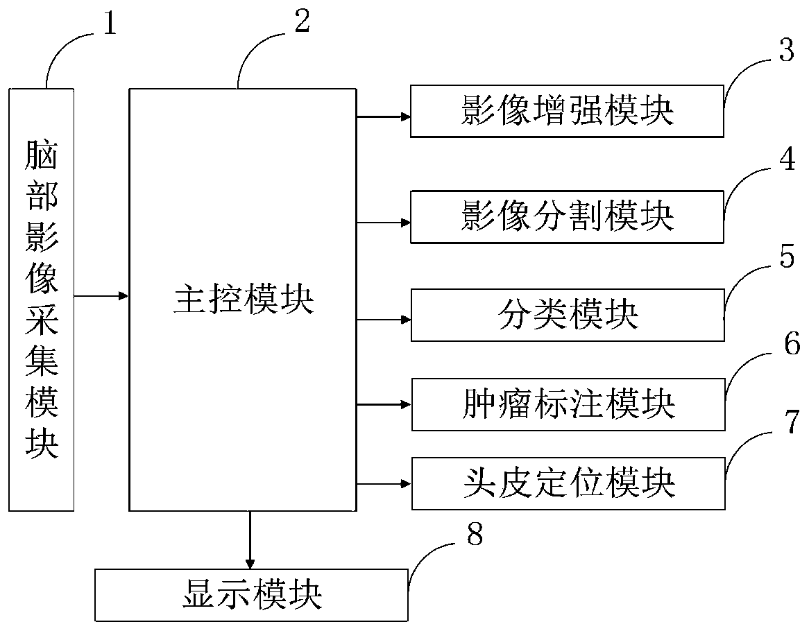 Brain tumor scalp positioning image processing method and system