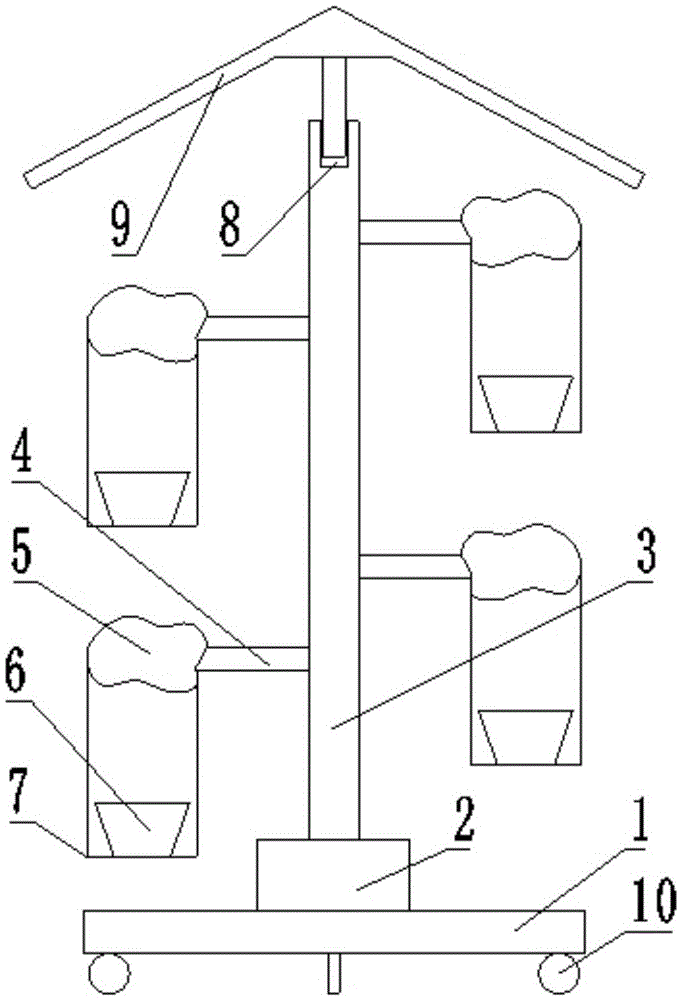 Rotary display device for potted flowers and plants