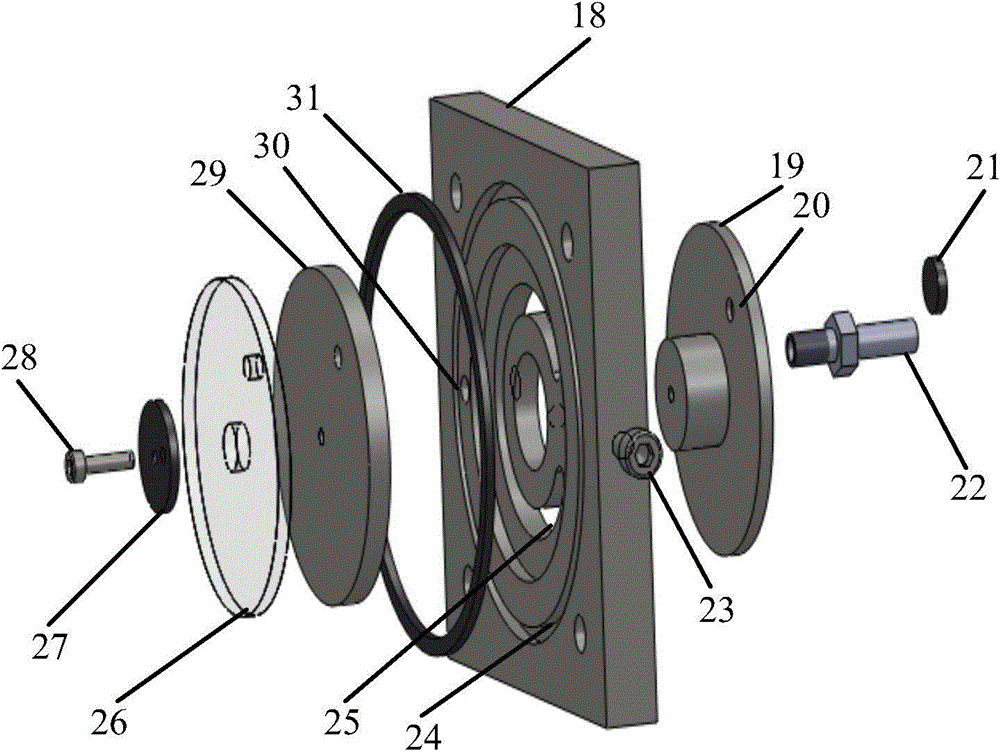 Long-path optical absorption cell adjustable in optical path