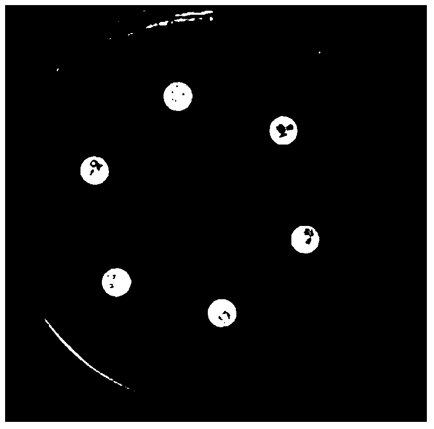 A kind of compound biological antistaling agent and its application