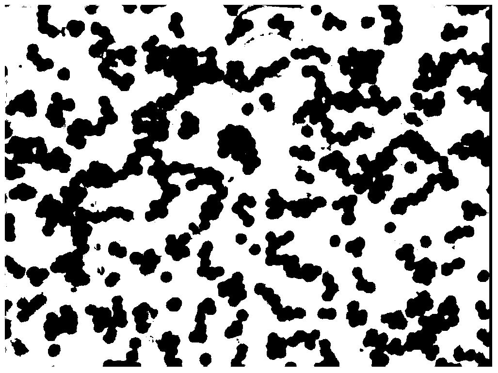 A kind of compound biological antistaling agent and its application