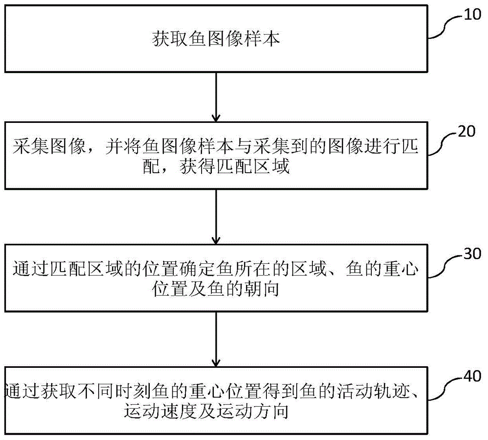 Aquarium fish activity track record method