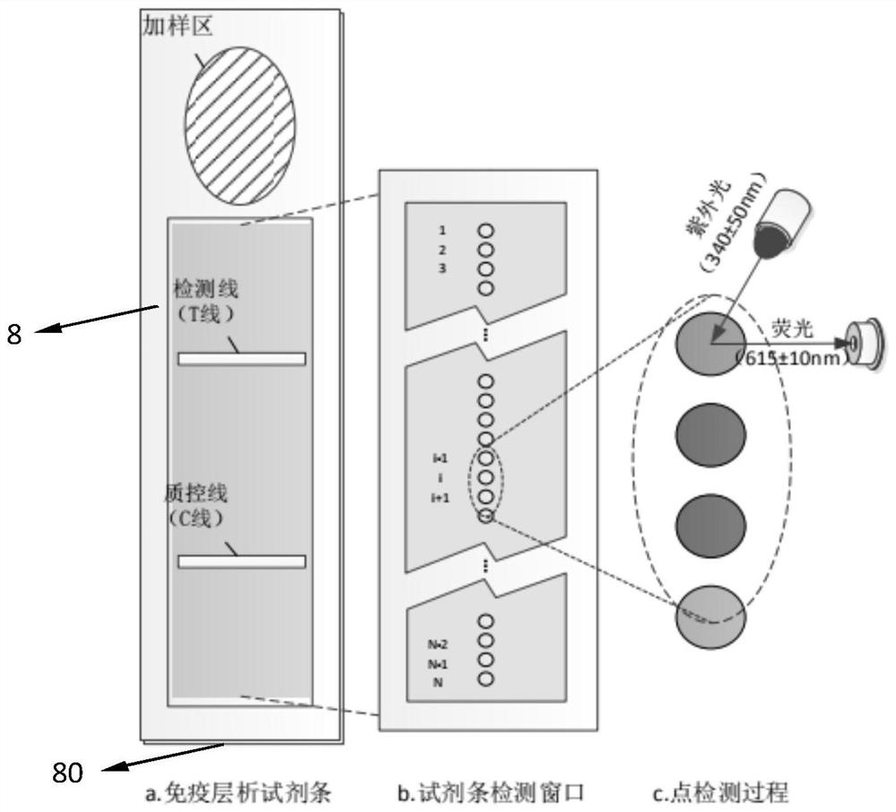 Handheld fluorescence detector