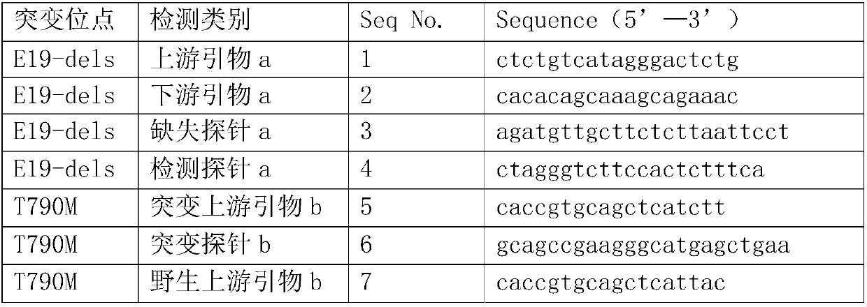 EGFR gene mutation detection primer probe and its kit