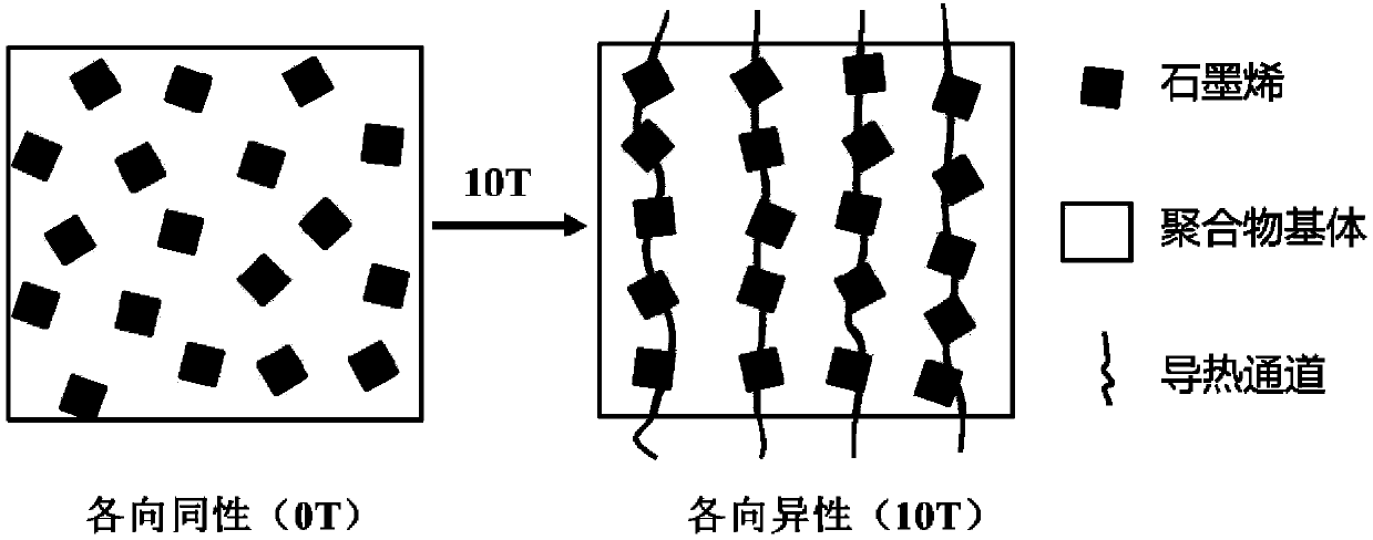 Heat conduction and insulation composite material with anisotropic structure and preparation method of heat conduction and insulation composite material