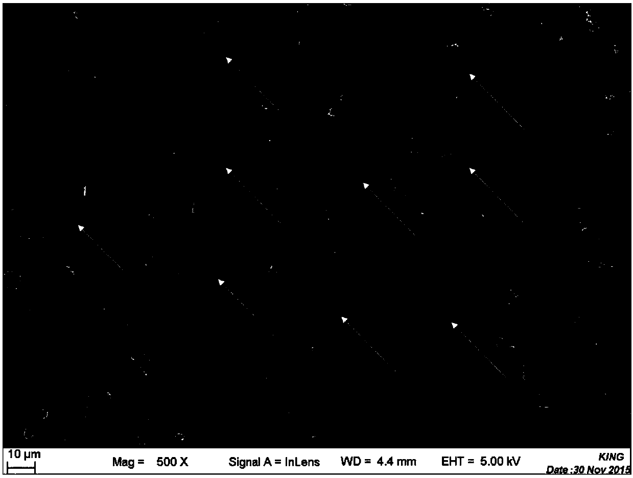 Heat conduction and insulation composite material with anisotropic structure and preparation method of heat conduction and insulation composite material