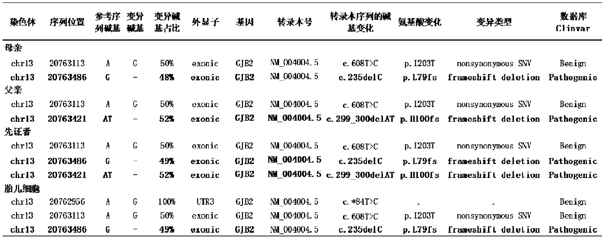 Probe combination for detecting hereditary hearing loss and application thereof