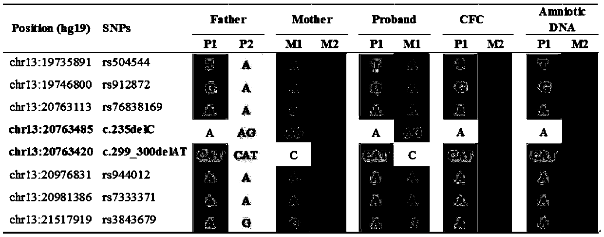 Probe combination for detecting hereditary hearing loss and application thereof