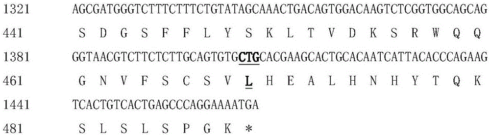 Hyperglycosylated human growth hormone fusion protein and preparation method and application thereof