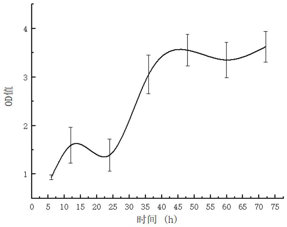 Aptamer H11 with targeted inhibition effect on vibrio anguillarum and application of aptamer H11