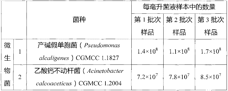 Halophilic and alkalophilic microorganism solid bacterial fertilizer of saline-alkaline habitat of desert and preparation method and application thereof