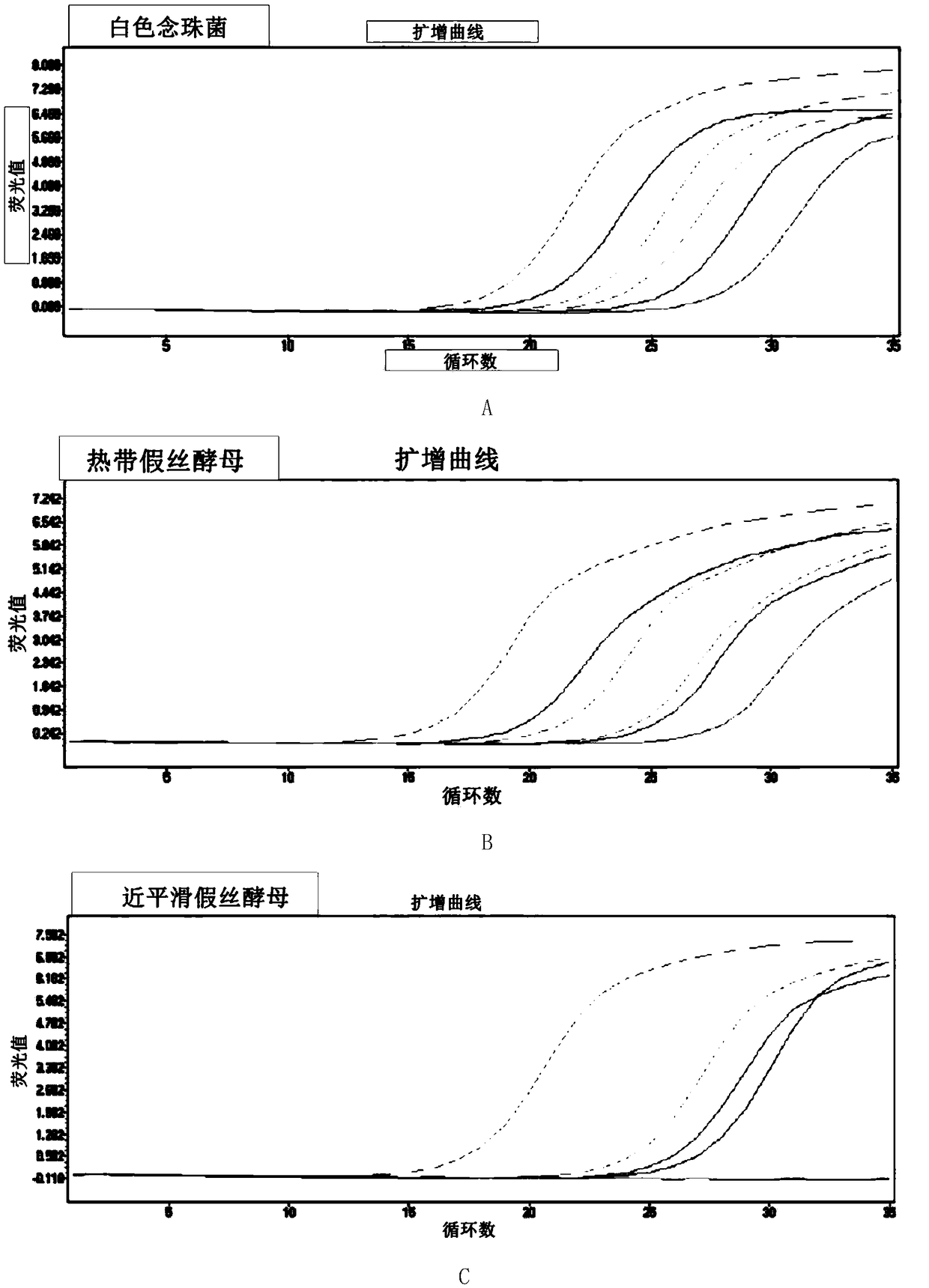 Detection method of invasive fungus infection, detection kit and application