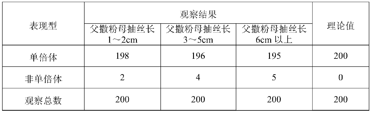 Corn haploid inducing method