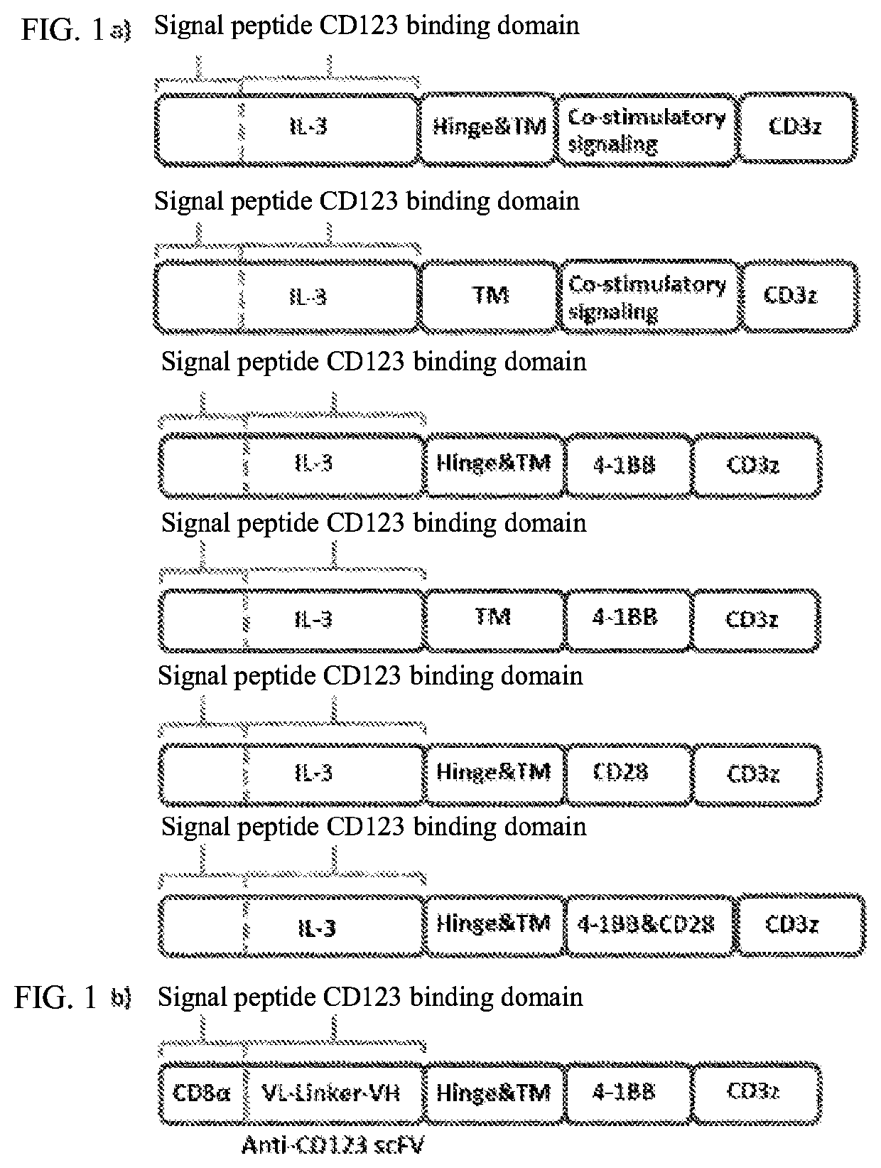 Human-CD123-targeting chimeric receptor ligand and application thereof