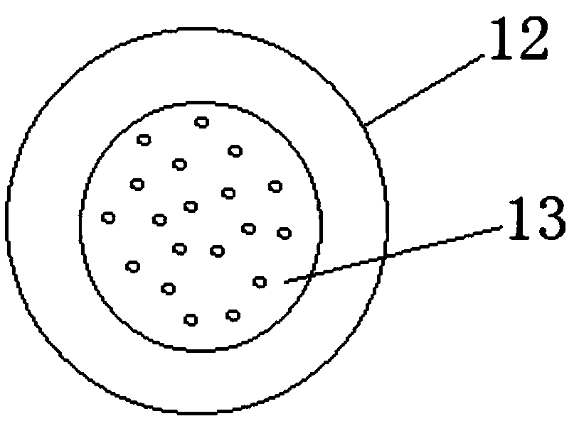 Measuring device capable of preventing pH composite electrodes from pollution and preparation method thereof