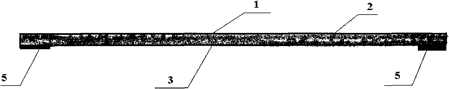 Antibacterial deodorizing insoles