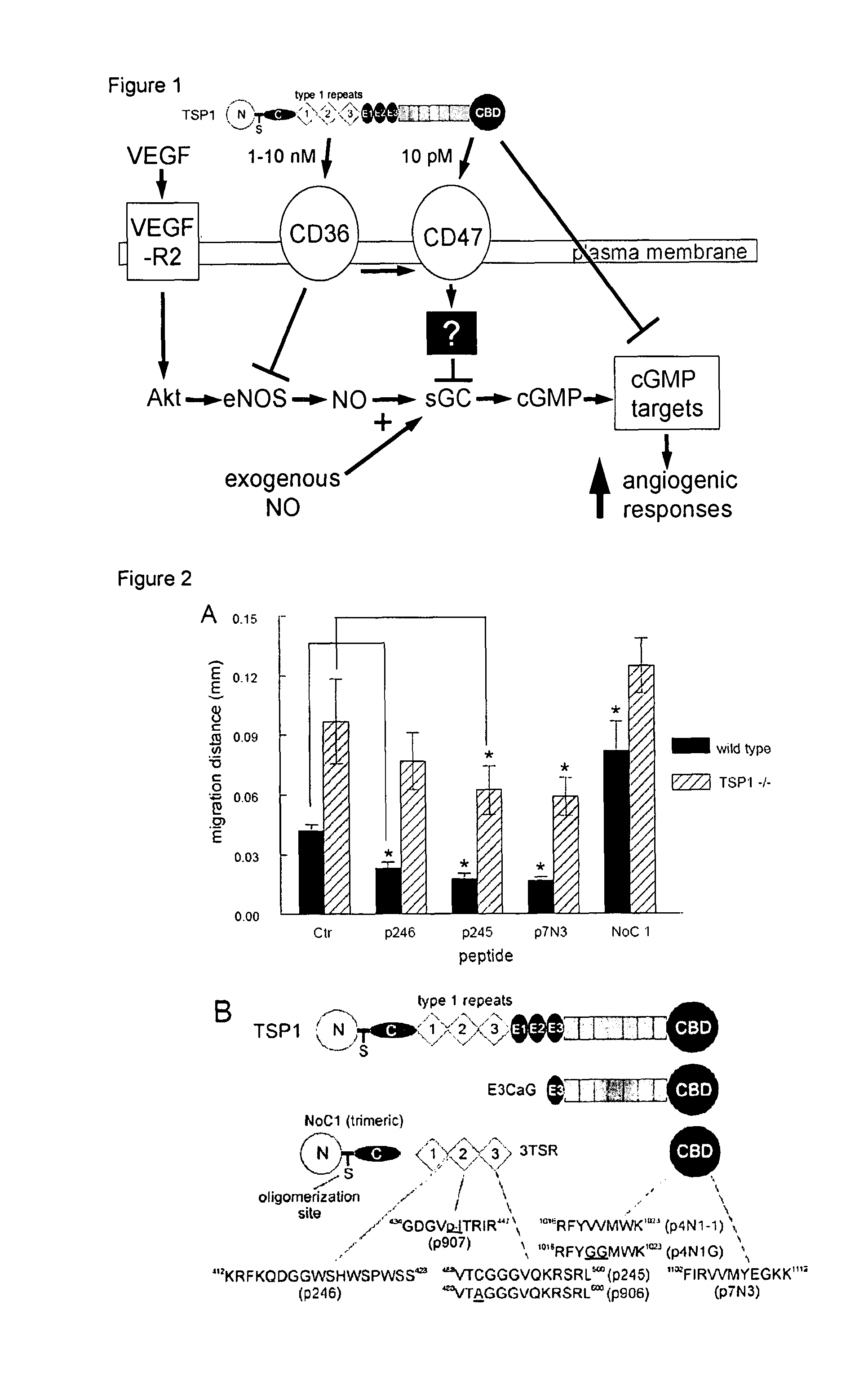 Prevention of tissue ischemia, related methods and compositions