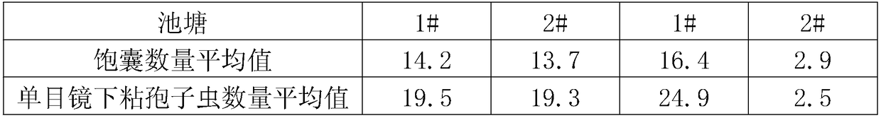 Traditional Chinese medicine composition for treating crucian myxosporea and preparation method thereof