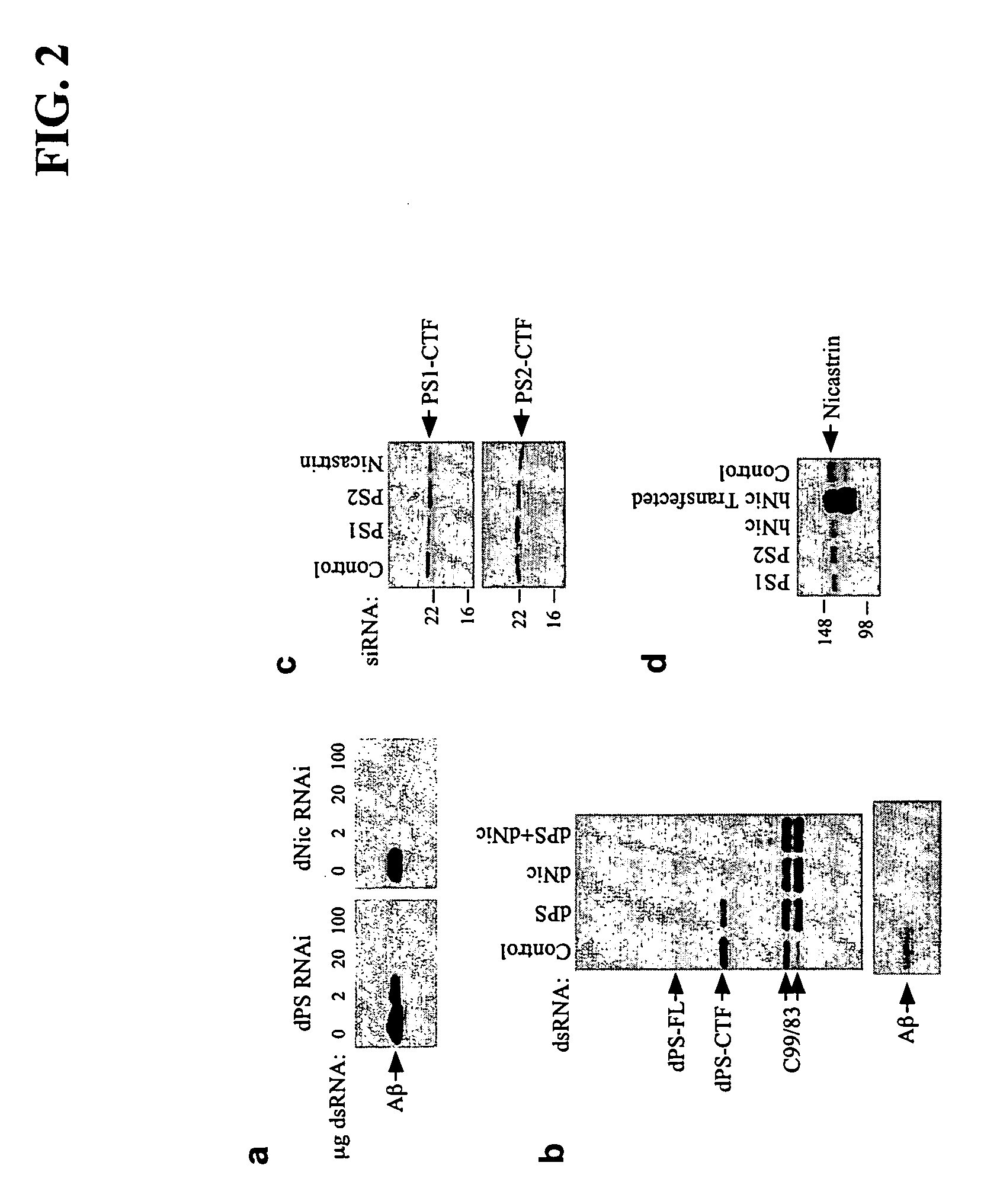 Novel modulators of amyloid-beta production and uses thereof