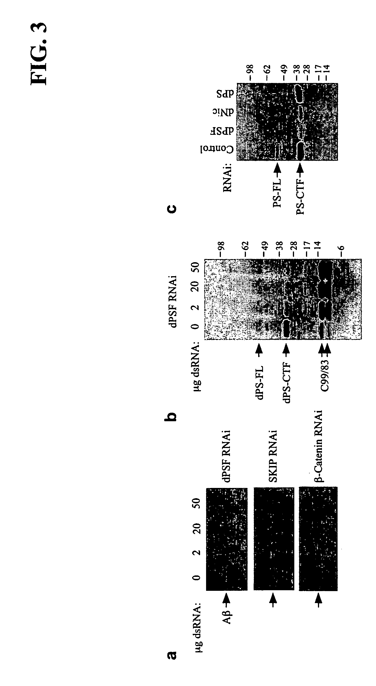 Novel modulators of amyloid-beta production and uses thereof