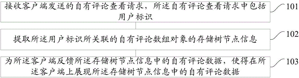 User comment data displaying method and system, server and client