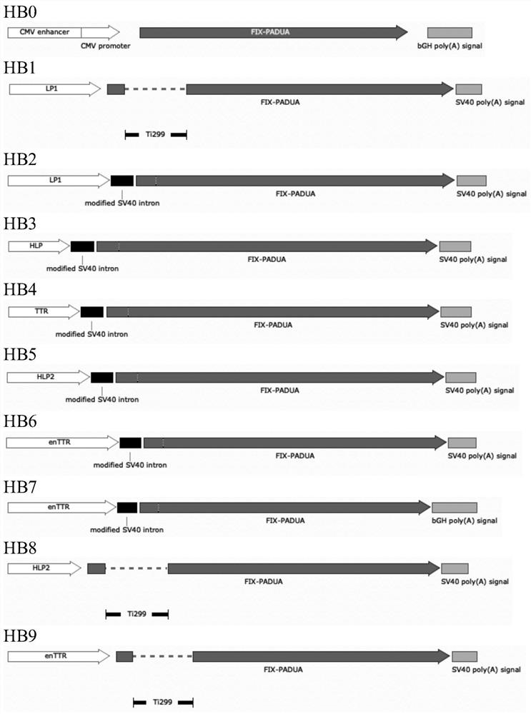 Recombinant adeno-associated virus vectors and methods for treating or preventing hemophilia B