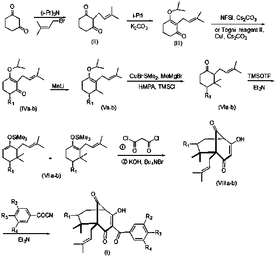 Garcinol derivative and application thereof