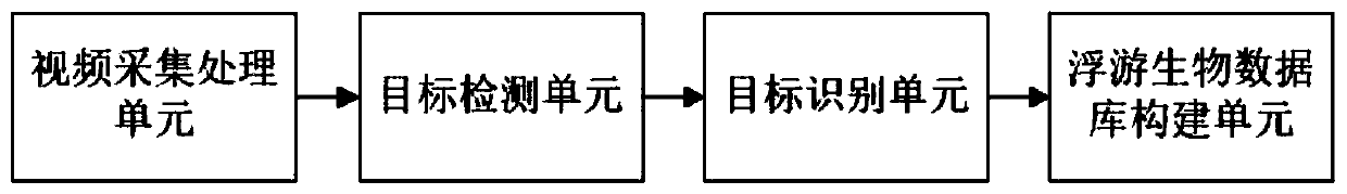 End-to-end plankton database construction system and method