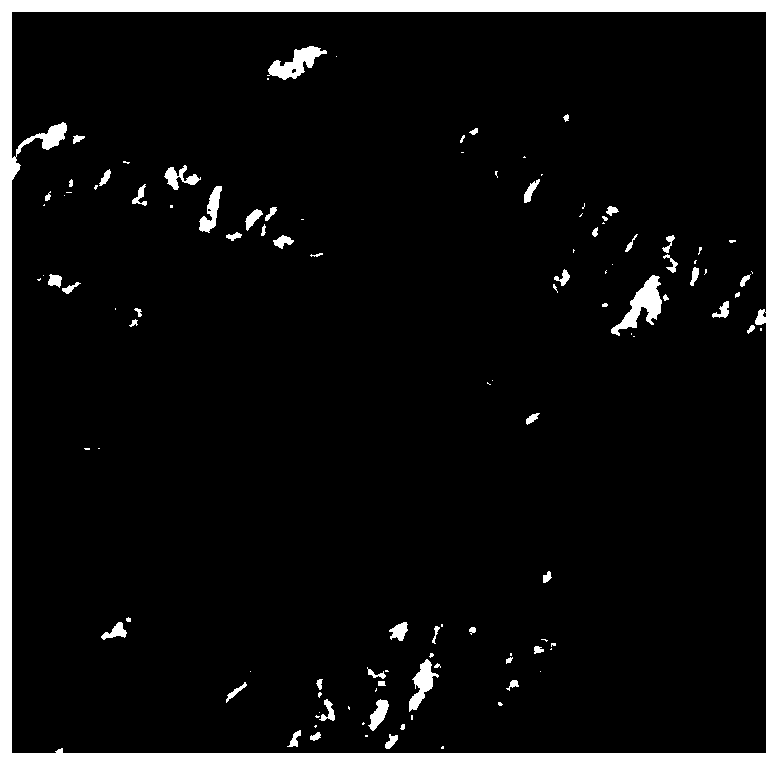 Image terrain radiation correction method and device