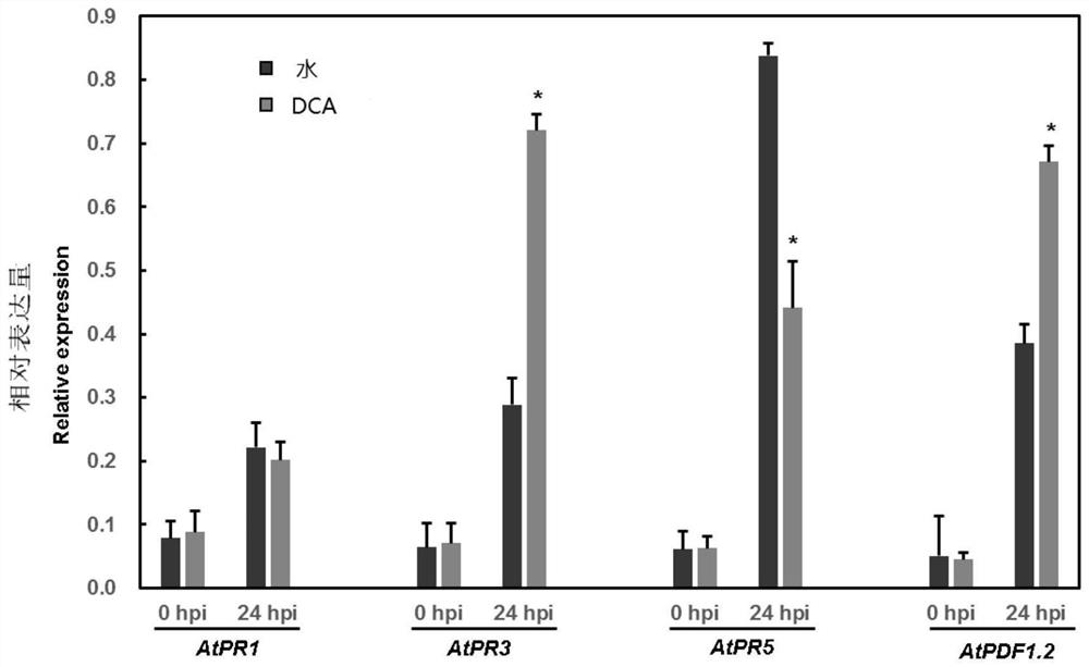 Application of 3,5-dichloroanthranilic acid to induce Arabidopsis resistance to Botrytis cinerea and its method