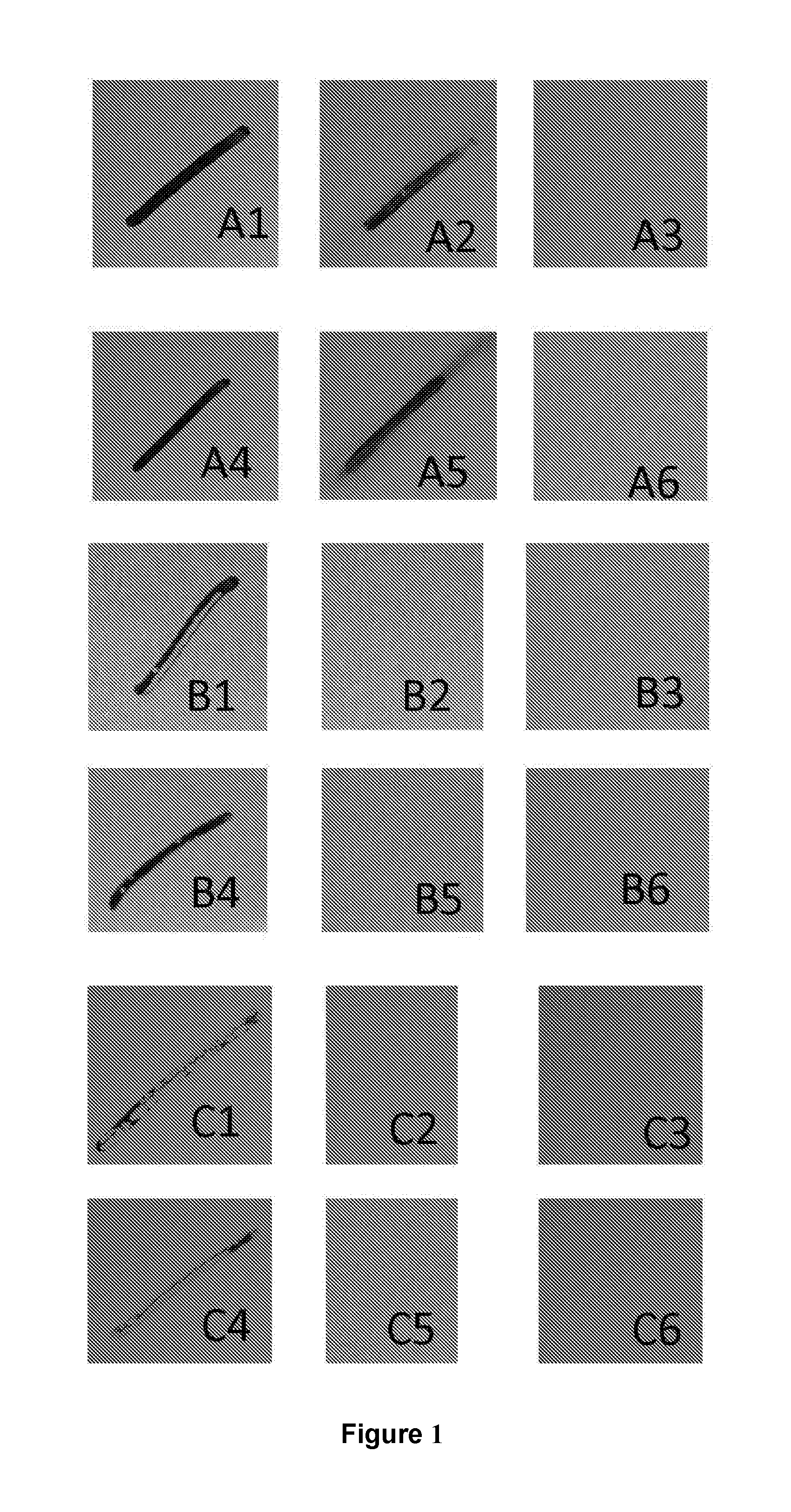 Repellent coating composition and coating, method for making and uses thereof