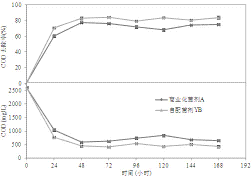 Composite microbial inoculant for treating grease wastewater, and application and use method thereof